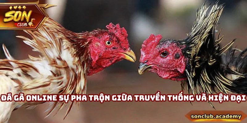 Đá gà online là sự pha trộn giữa truyền thống và hiện đại