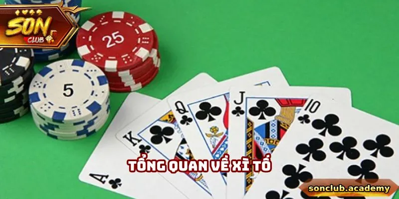 Tổng quan về xì tố